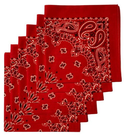 Red Paisley Bandanas - USA Made (6 Pk) 22" x 22"